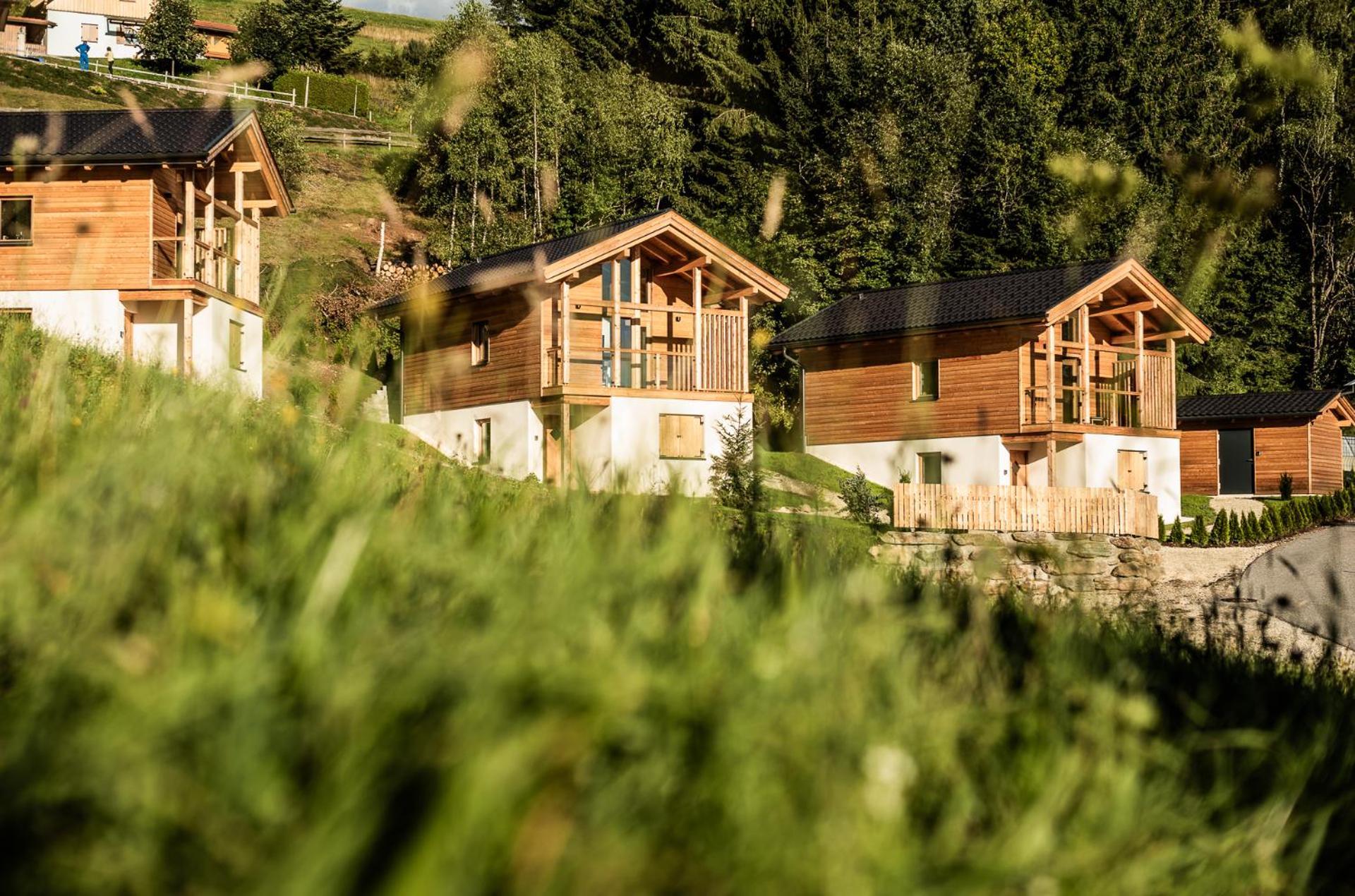 Ferienhaeuser Koralpe Unicorn Village Wolfsbergi járás Kültér fotó