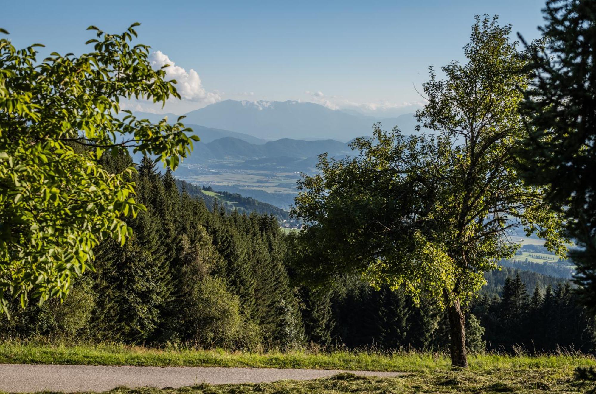 Ferienhaeuser Koralpe Unicorn Village Wolfsbergi járás Kültér fotó